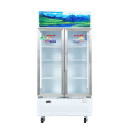 Tủ mát Sanaky Inverter VH-8009HP3 800 lít